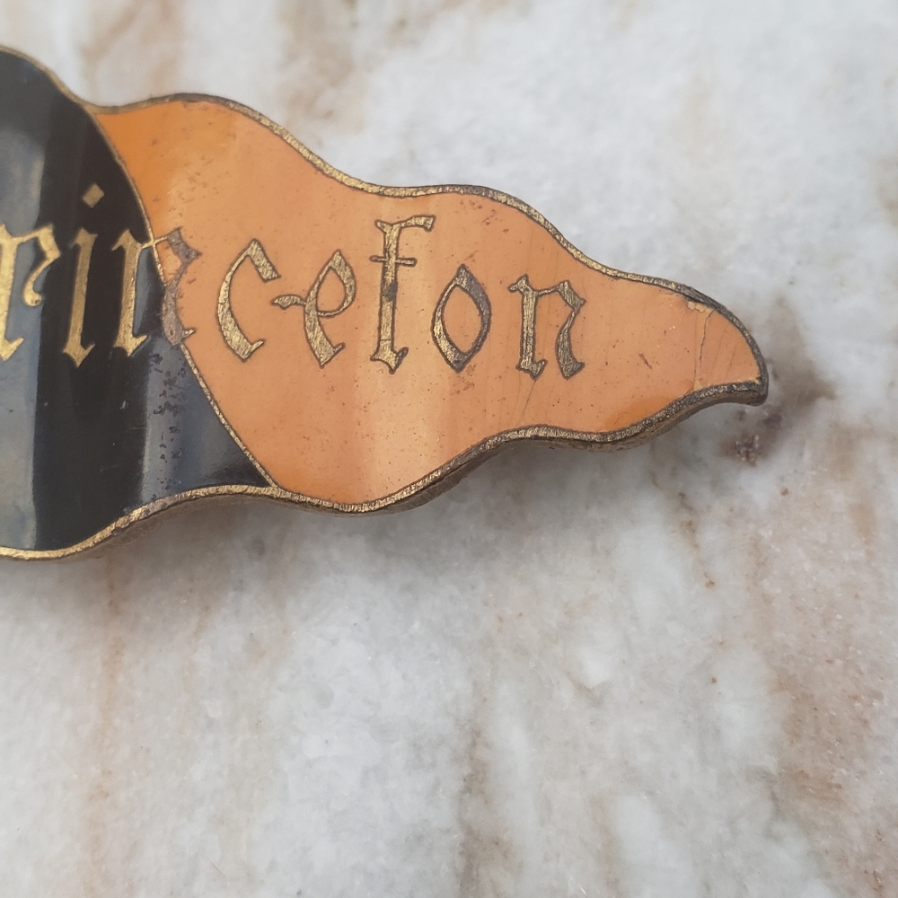 Victorian Era Princeton Penant Enamel Brooch - Picture 8 of 13